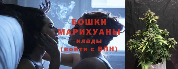 молекула духа Зеленокумск
