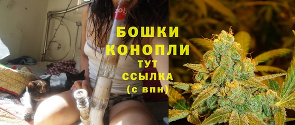 молекула духа Зеленокумск