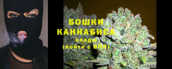 молекула духа Зеленокумск