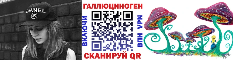 Псилоцибиновые грибы Cubensis как найти Канаш